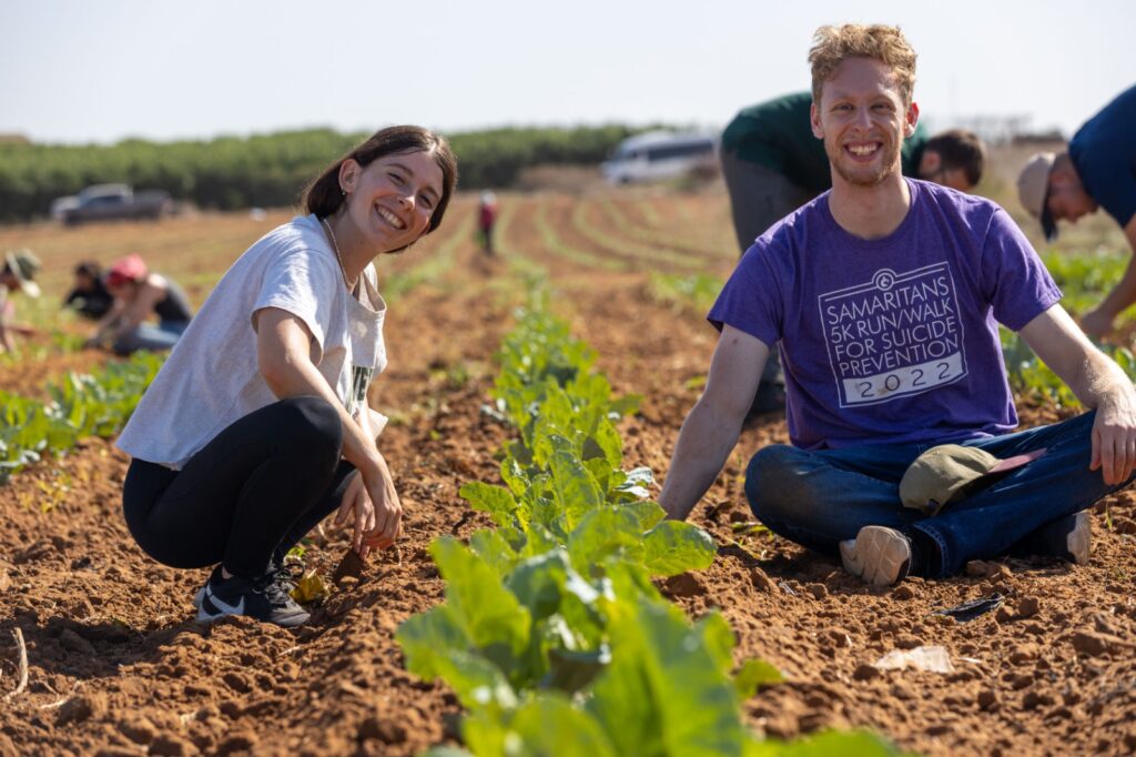 volunteer in israel